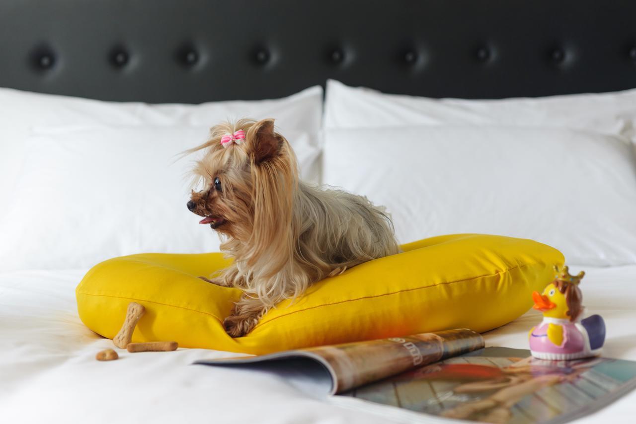 Nyx Tel Aviv Hotel Ngoại thất bức ảnh